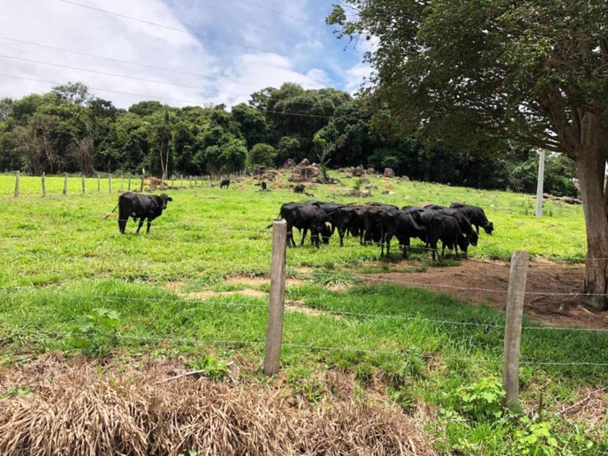 Sitio No Interior De Sp Para Curtir A Natureza Águas da Prata Zewnętrze zdjęcie