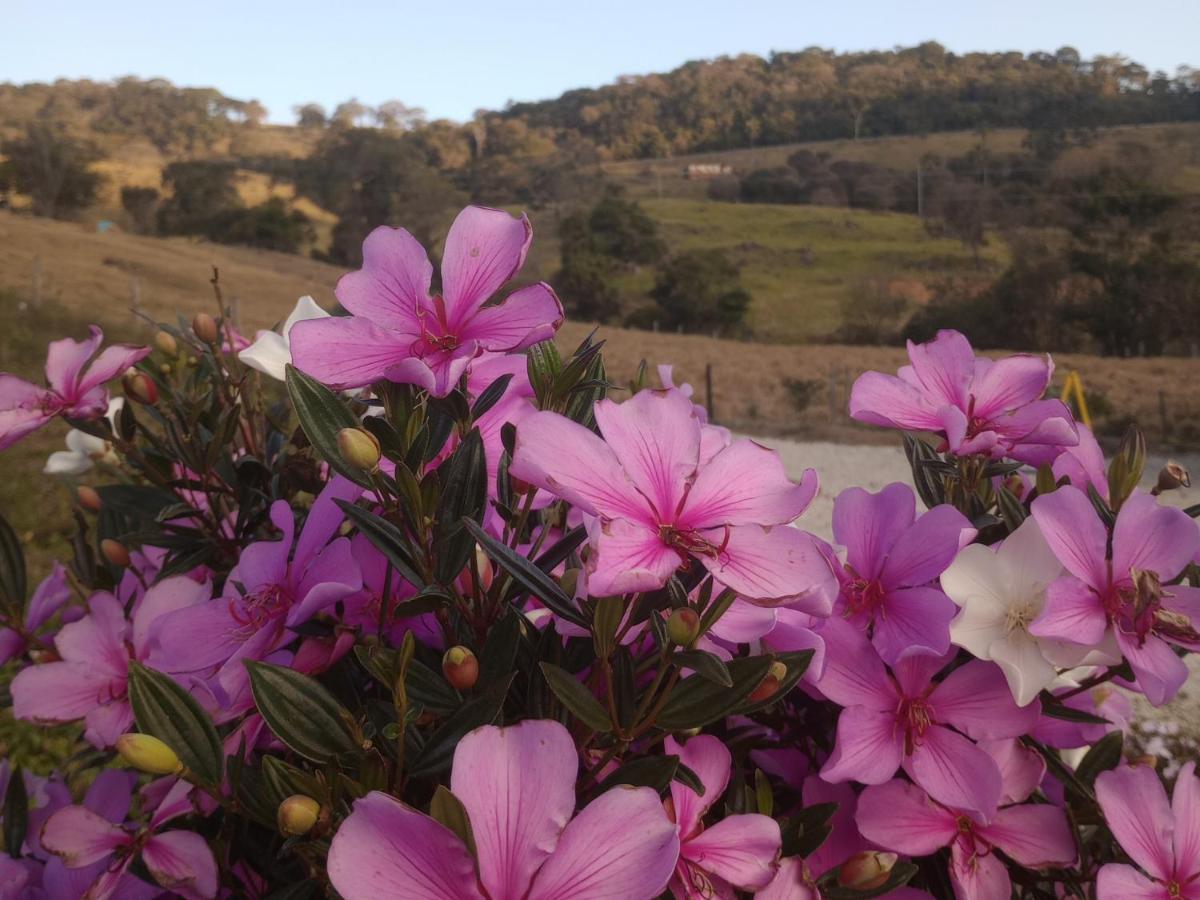 Sitio No Interior De Sp Para Curtir A Natureza Águas da Prata Zewnętrze zdjęcie